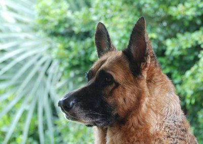 Another beautiful profile