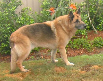 Jake at 12