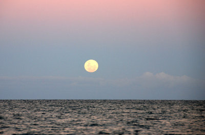 moon on the water small.jpg