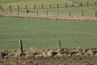 khwd20090214 (19).JPG