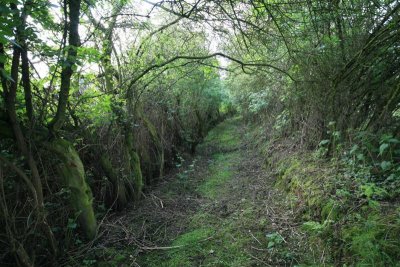 kh20090429 (06).JPG