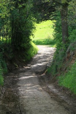 kh20090429 (11).JPG