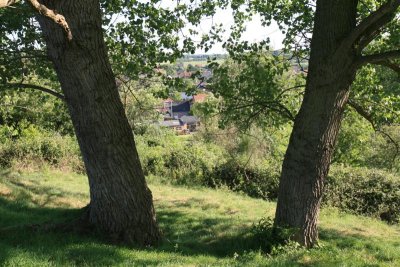 kh20090602 (02).JPG