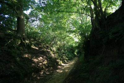 kh20090602 (07).JPG