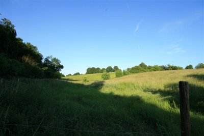 kh20090602 (17).JPG