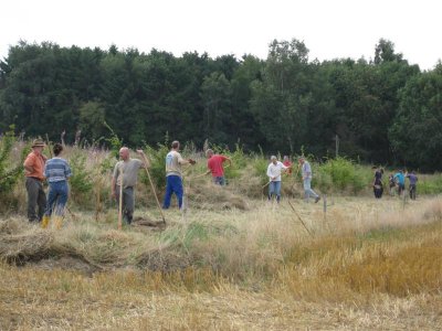dellewd20090808 (07).JPG