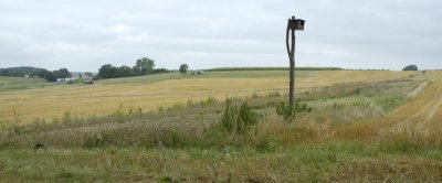 Delle8.8 (10).jpg