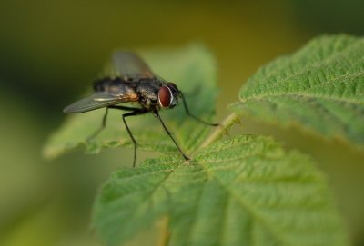 DSC_1441.jpg