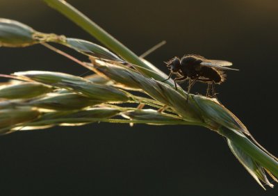 DSC_1444.jpg