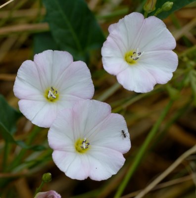 DSC_1475.jpg