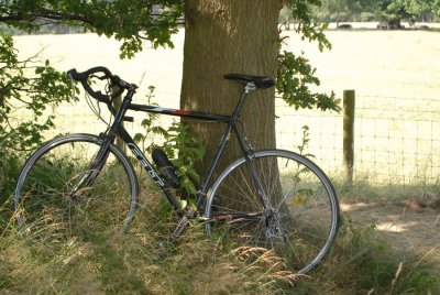 DSC_1679.jpg