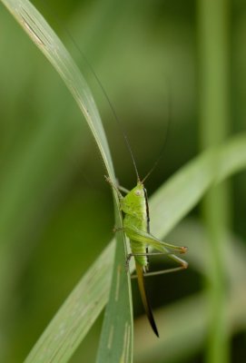 DSC_2276.jpg