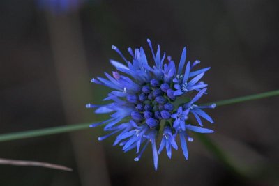 IMG_3345kh.JPG