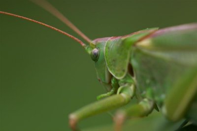 2010_08_06_delle_07.JPG