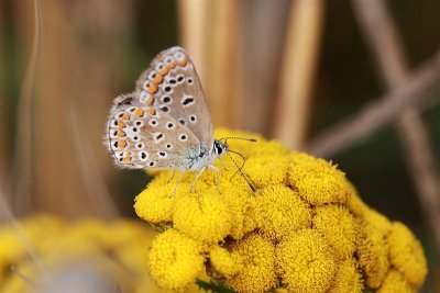 2010_08_06_delle_09.JPG