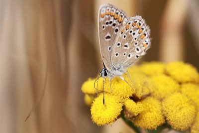 2010_08_06_delle_10.JPG