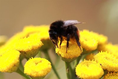 2010_08_06_delle_11.JPG