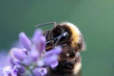 2010_08_06_delle_12.JPG