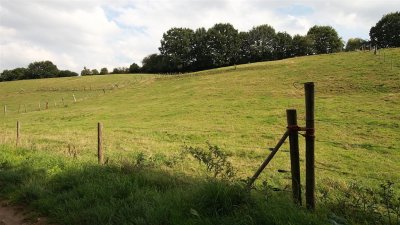 IMG_3648kh.JPG