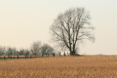 kh20080225 (01).JPG