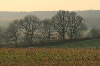 kh20080225 (05).JPG