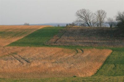 kh20080225 (07).JPG