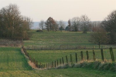 kh20080225 (08).JPG