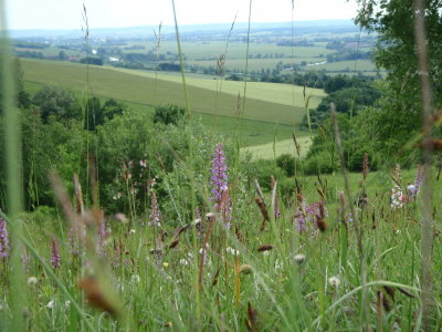 g1/85/744285/3/98227862.Y7nmexdh.jpg