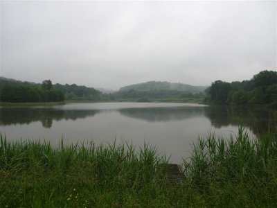 g1/85/744285/3/98228080.xalwlS1V.jpg