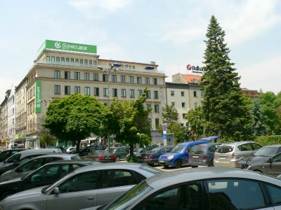 Sofia