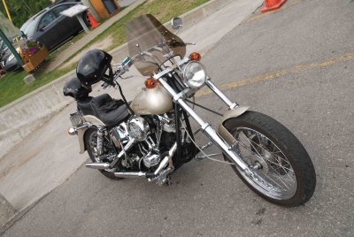 Harley Davidson