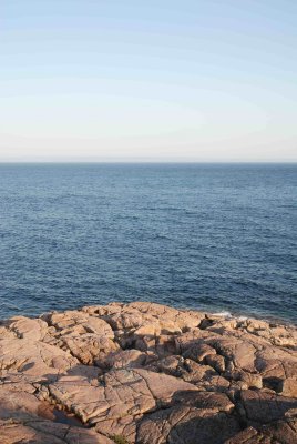 DSC_7342 1.jpg