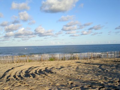 g1/85/816885/3/110267960.v9iIOD65.jpg