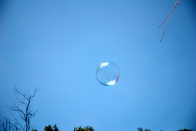 DSC_1028 - Version 2.jpg