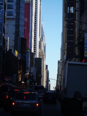 IMGP2490 1.jpg