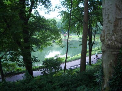 Central Park