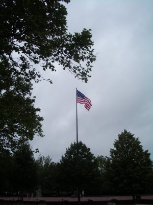 IMGP3382 1.jpg