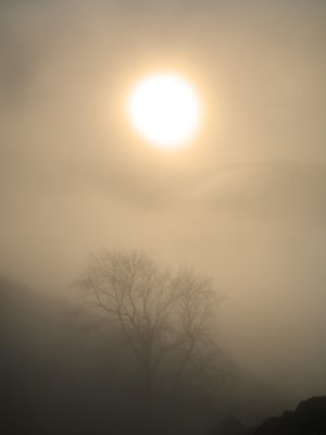 fog impression