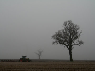 farming in the fog.