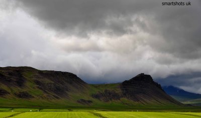 light on field