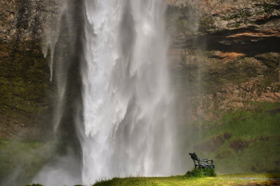 bench at seljandlfoss