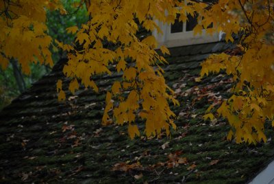 _DSC3318Ls.jpg