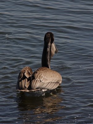 g1/85/847685/3/105343127.fG1yV0wx.jpg