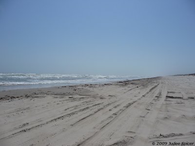 Padre Island