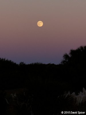 Moonrise