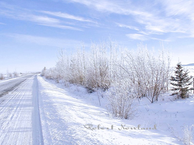 Winter on the Kluskus.jpg