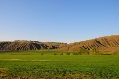 DSC_0269 Semline Ranch early moning.jpg