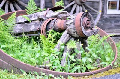DSC_1909 Broken wagons.jpg