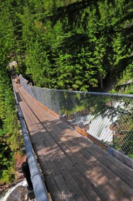 DSC_2177 Crazy Falls suspension bridge.jpg