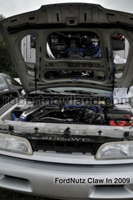 DSC_5921-web.jpg